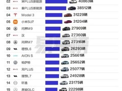 2024一线城市车市风云：新能源霸榜，小米su7黑马姿态挺进前五